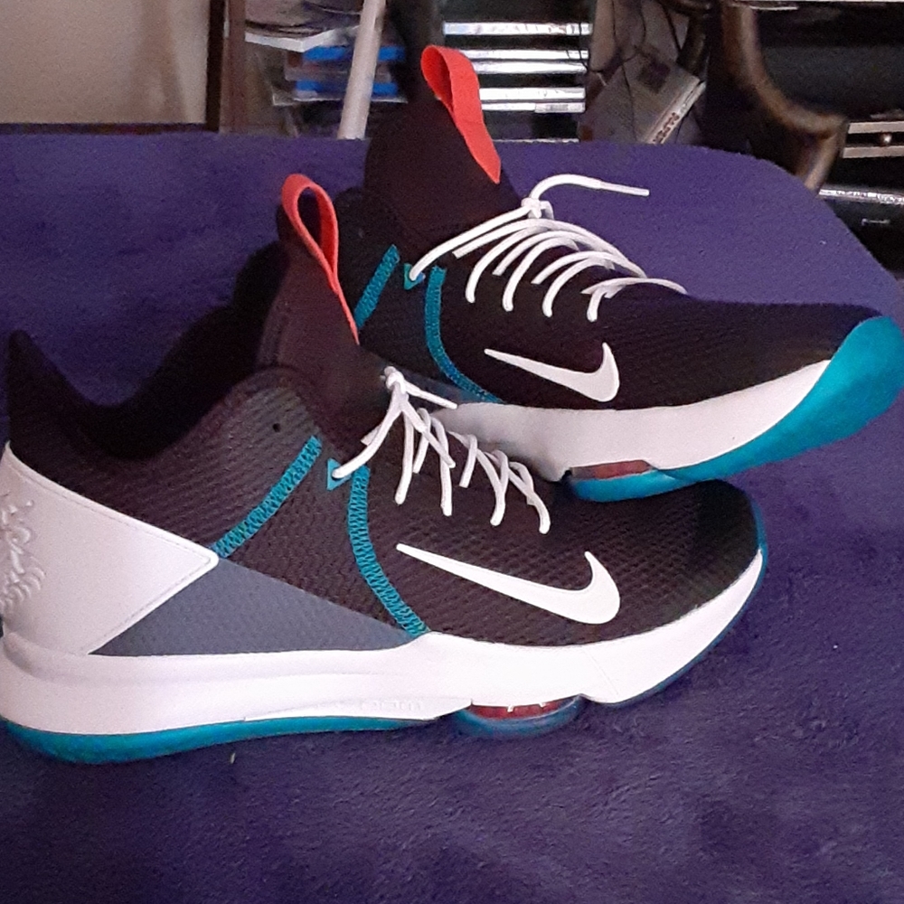 Lebron IV Nike Witness